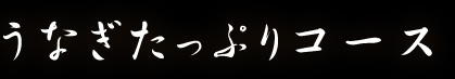 うなぎたっぷりコース